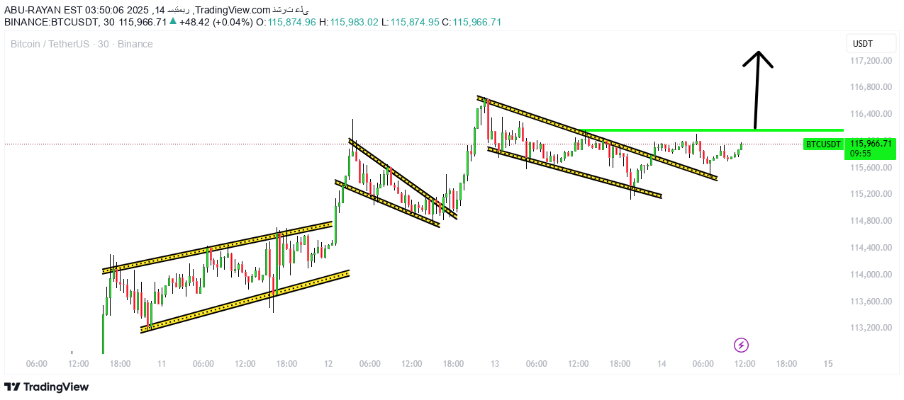 BTC،Teknik،ABU-RAYAN