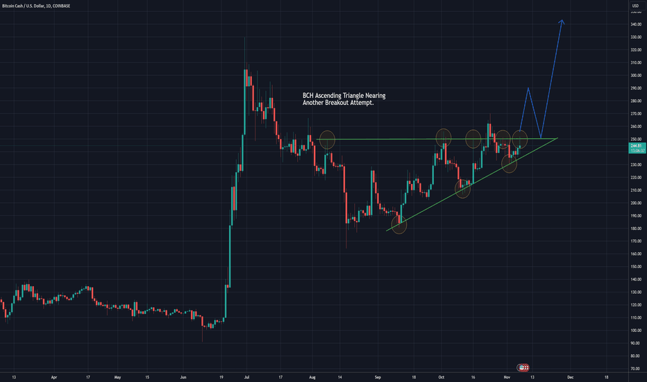 BuyBCH،Technical،jaepayne