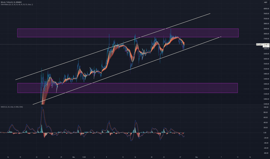 BTC،Teknik،TheStallion_